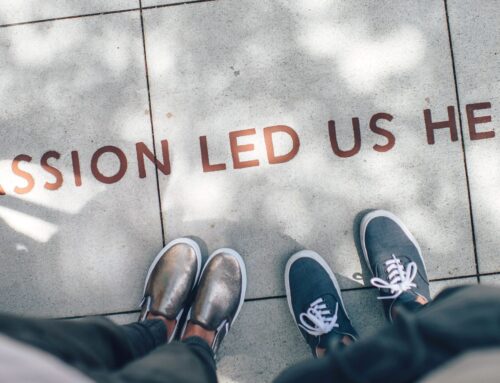 Toronto’s social entrepreneurs