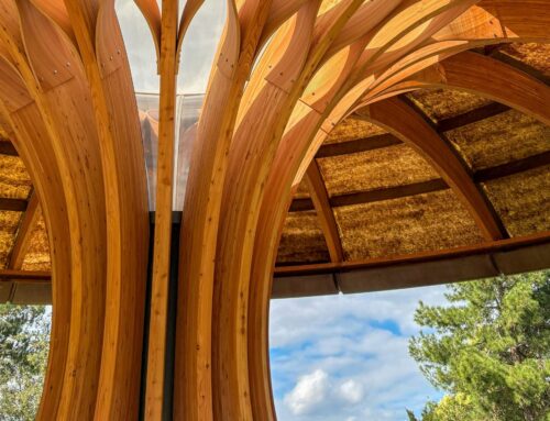 When innovation gets strangled